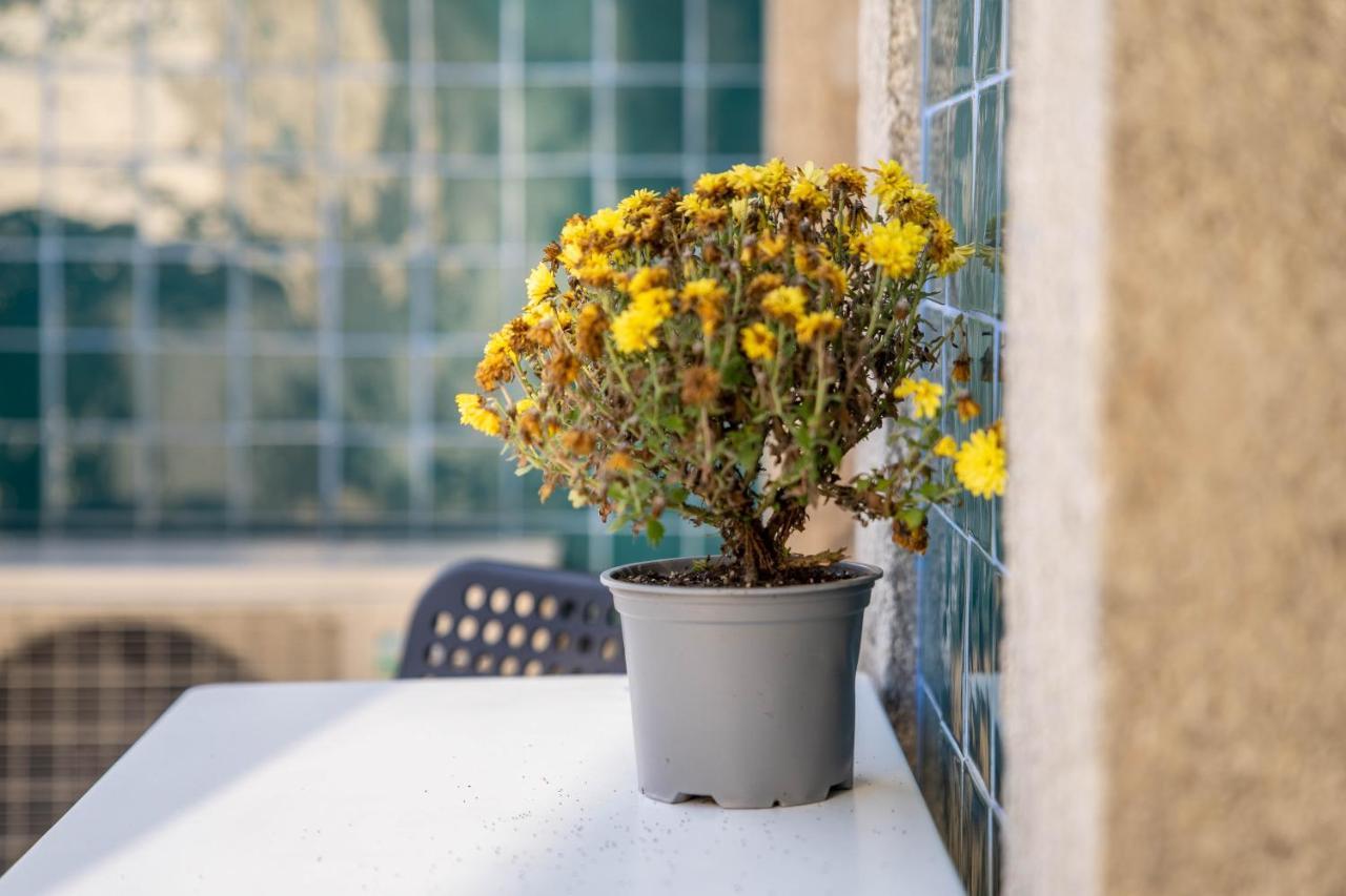 Joao IV Jewel Retreat By Lovelystay Porto Luaran gambar